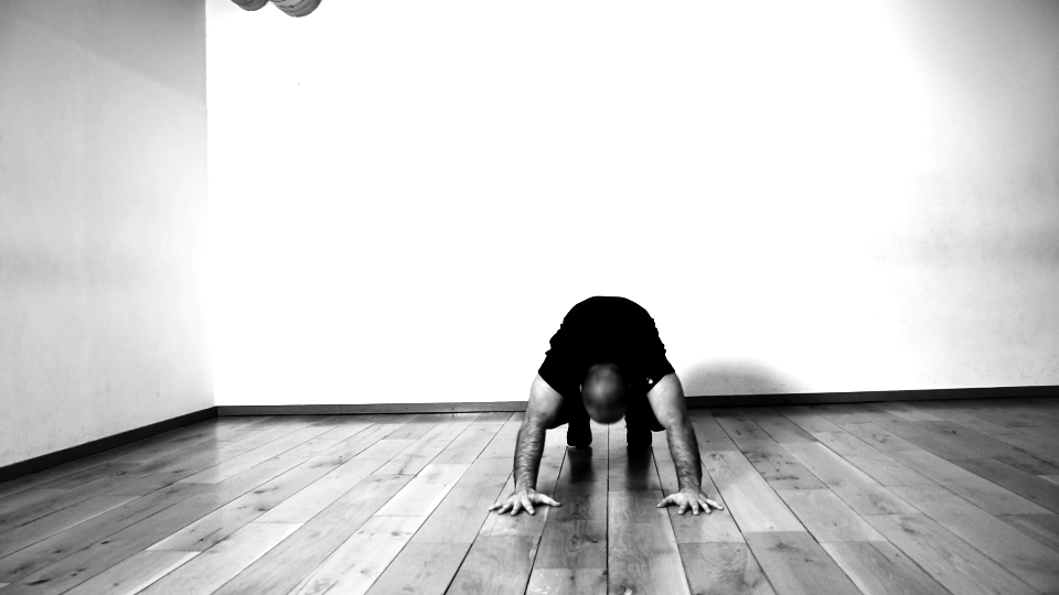 exercice-animal-flow